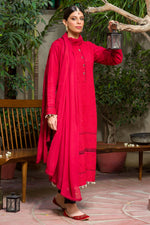 Load image into Gallery viewer, Aafrinish by Niazi Amal Abedi Red Chikankari Kurta 
