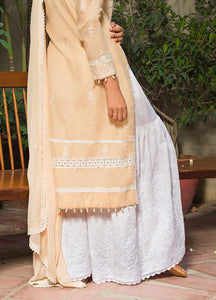 Chikankari White Cotton Gharara